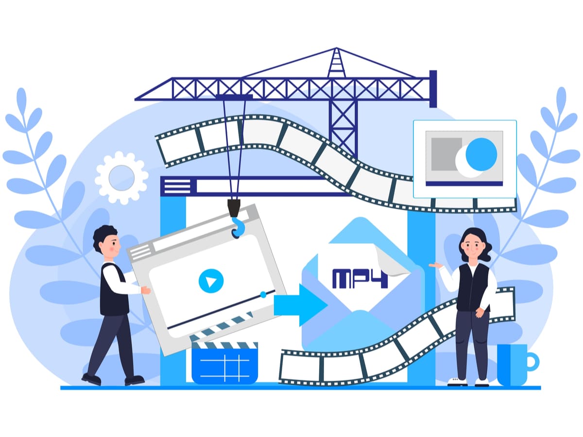 Video Formats